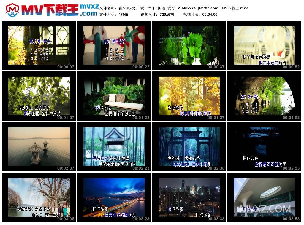 崔来宾-爱了 就一辈子_国语_流行_MB402974